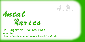 antal marics business card